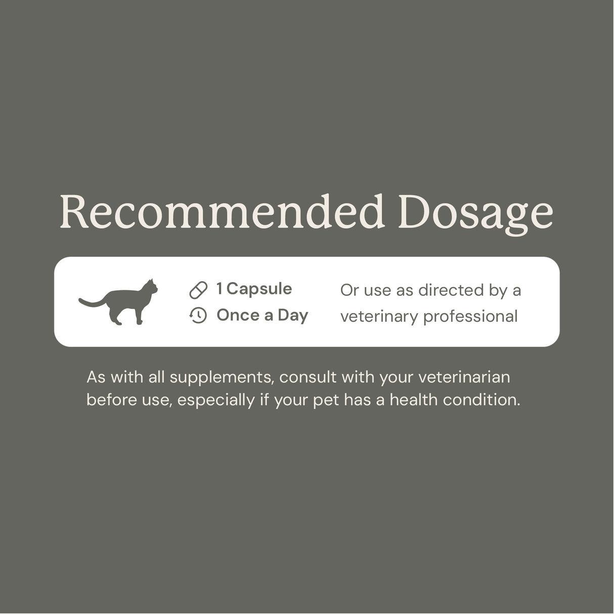 Gut Maintain for Cats