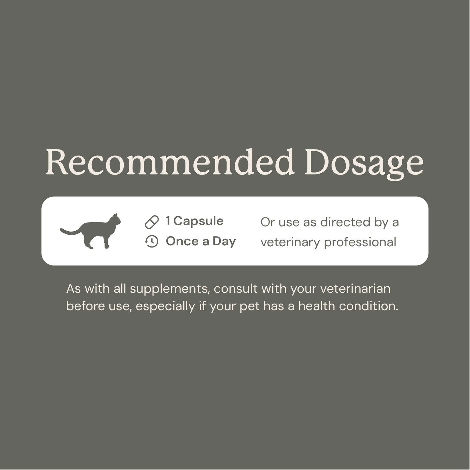Gut Maintain for Cats