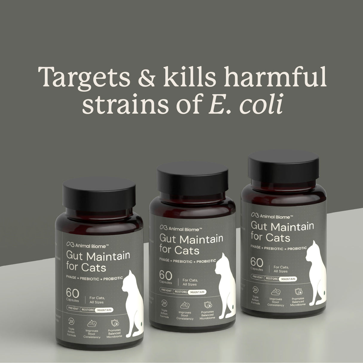 Gut Maintain for Cats