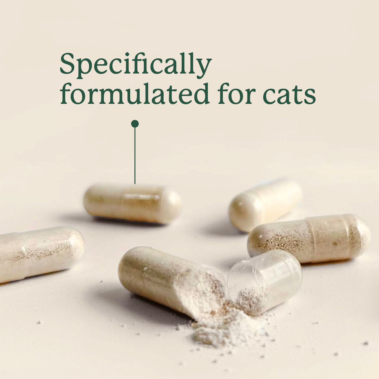 Gut Maintain for Cats