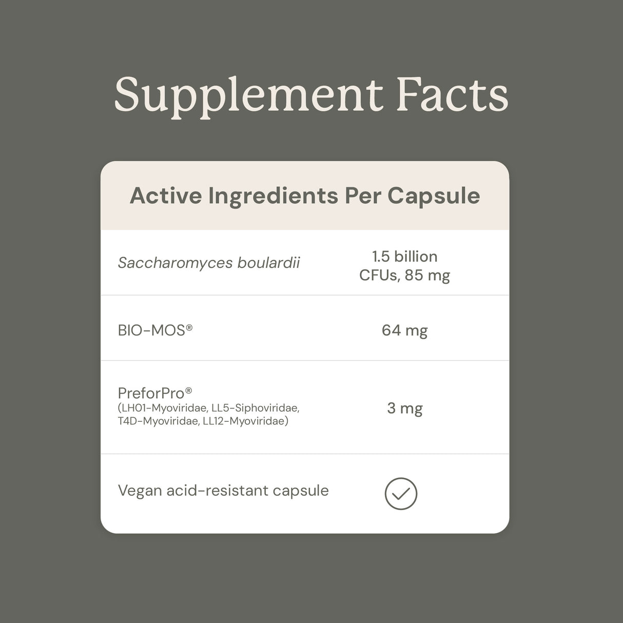 Gut Maintain for Cats