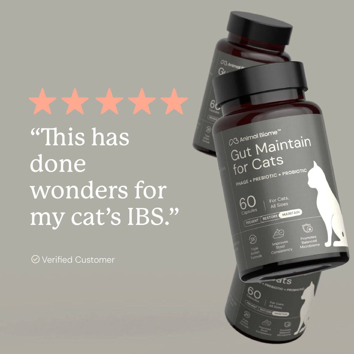 Gut Maintain for Cats