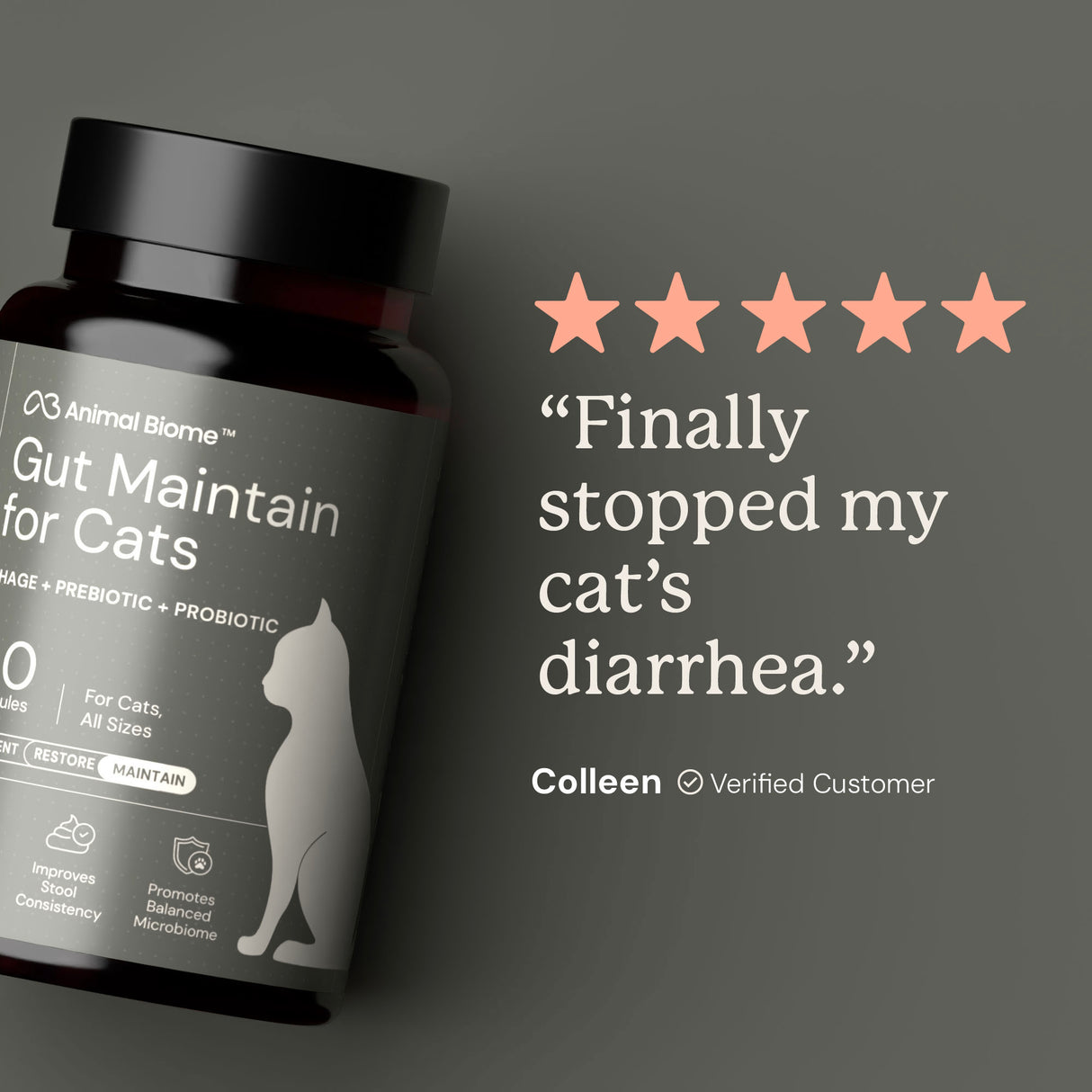 Gut Maintain for Cats