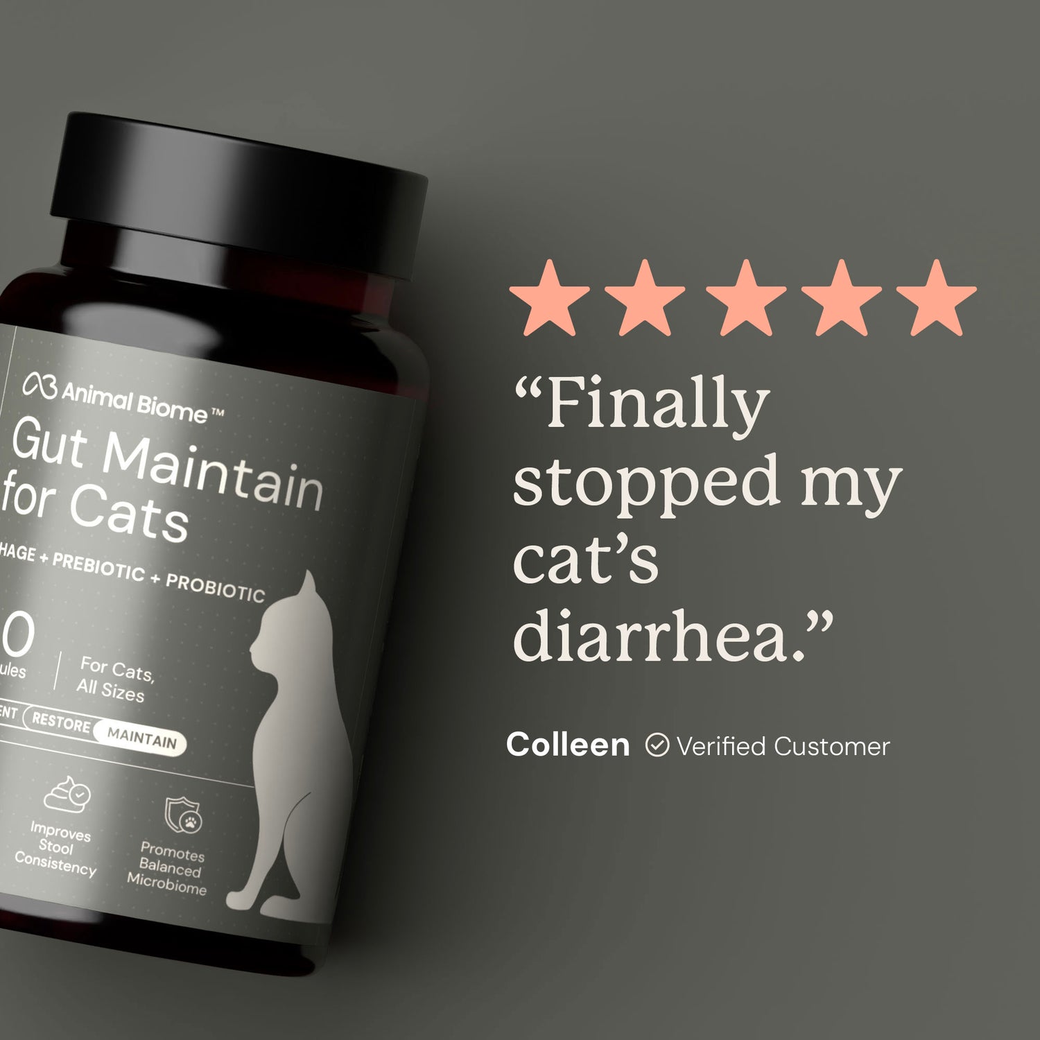 Gut Maintain for Cats