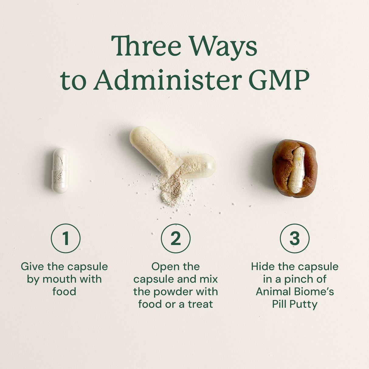 Gut Maintain for Cats