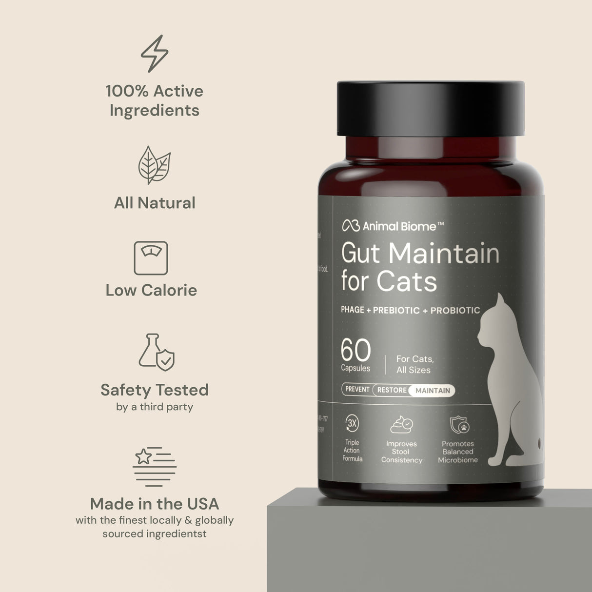 Gut Maintain for Cats