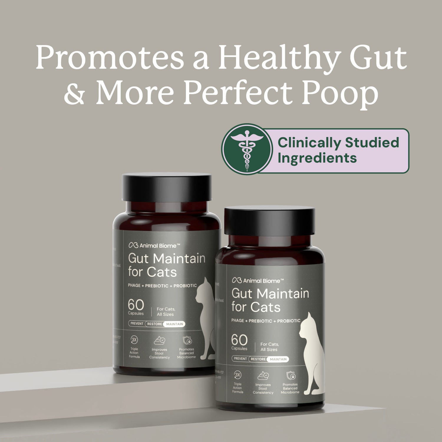Gut Maintain for Cats