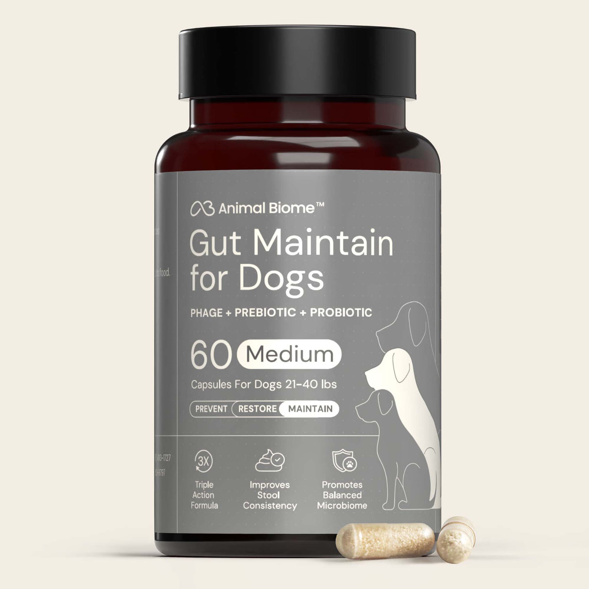 Jar of Gut Maintain for Dogs with 2 capsules on a beige background