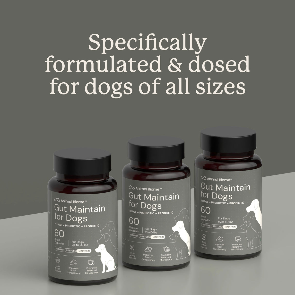 Gut Maintain for Dogs