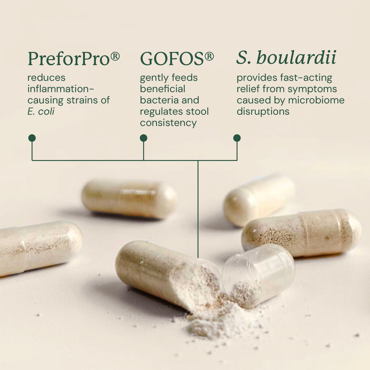 Gut Maintain for Dogs