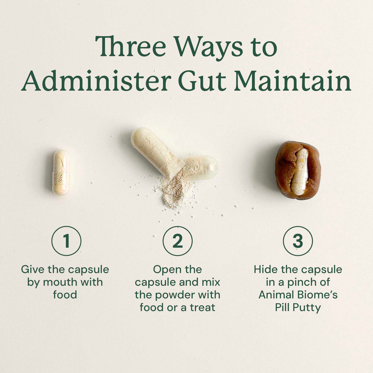 Gut Maintain for Cats