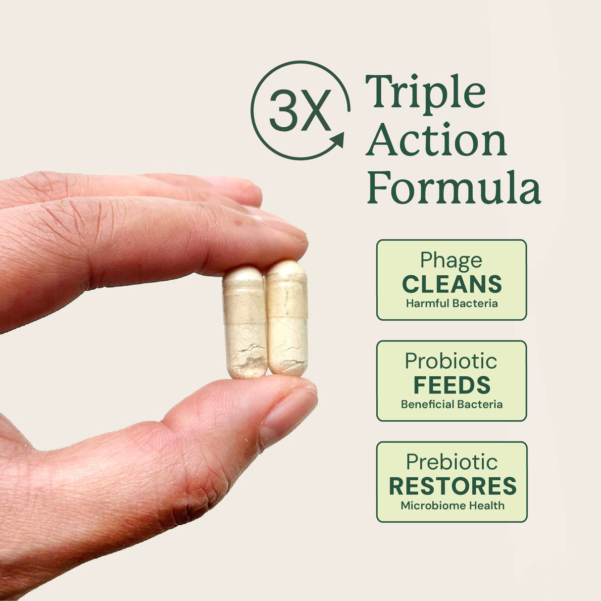 Gut Maintain for Dogs