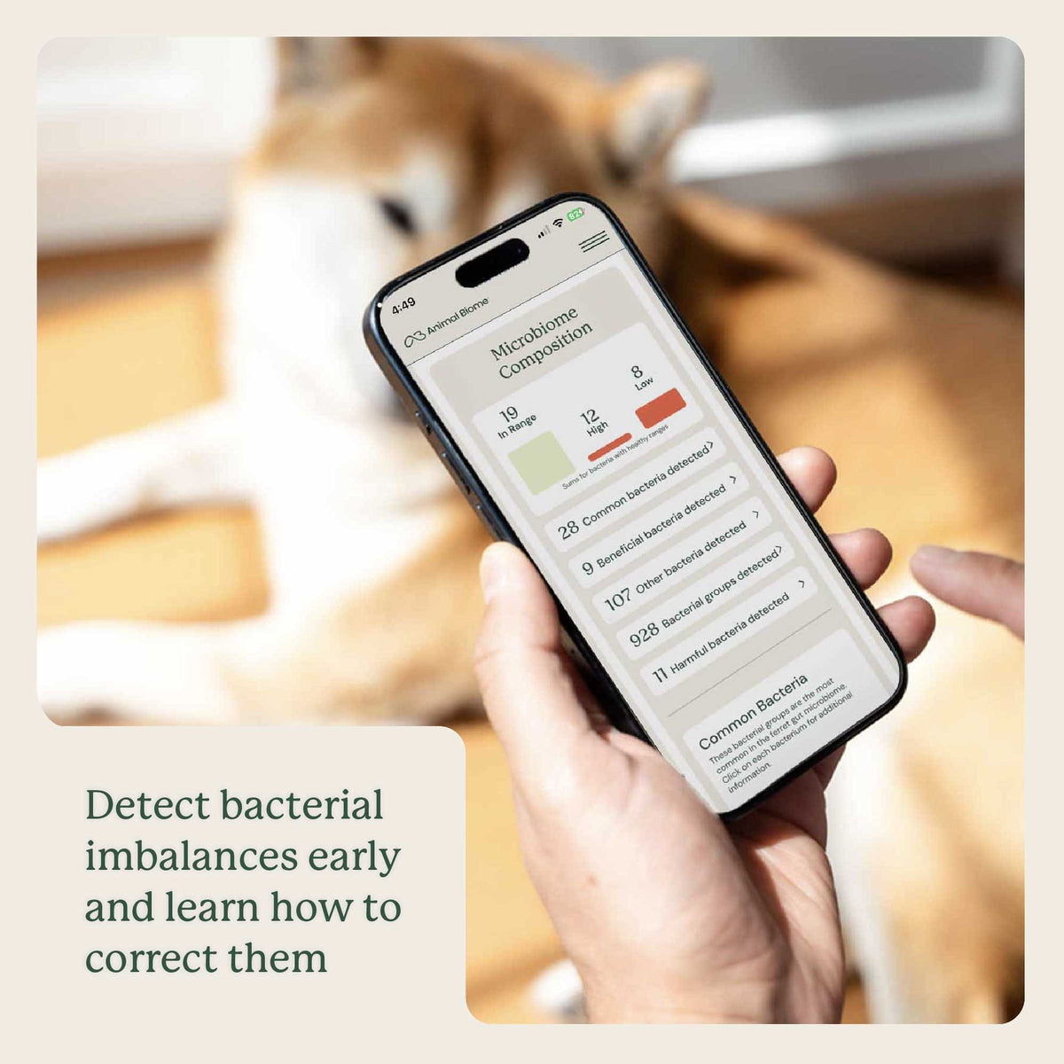Gut Microbiome Test for Dogs