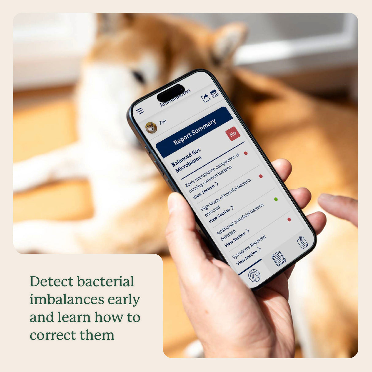 Gut Microbiome Test for Dogs