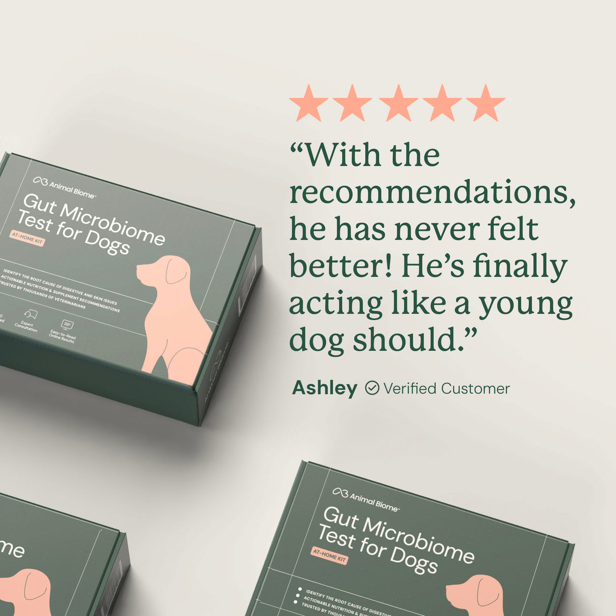 Gut Microbiome Test for Dogs