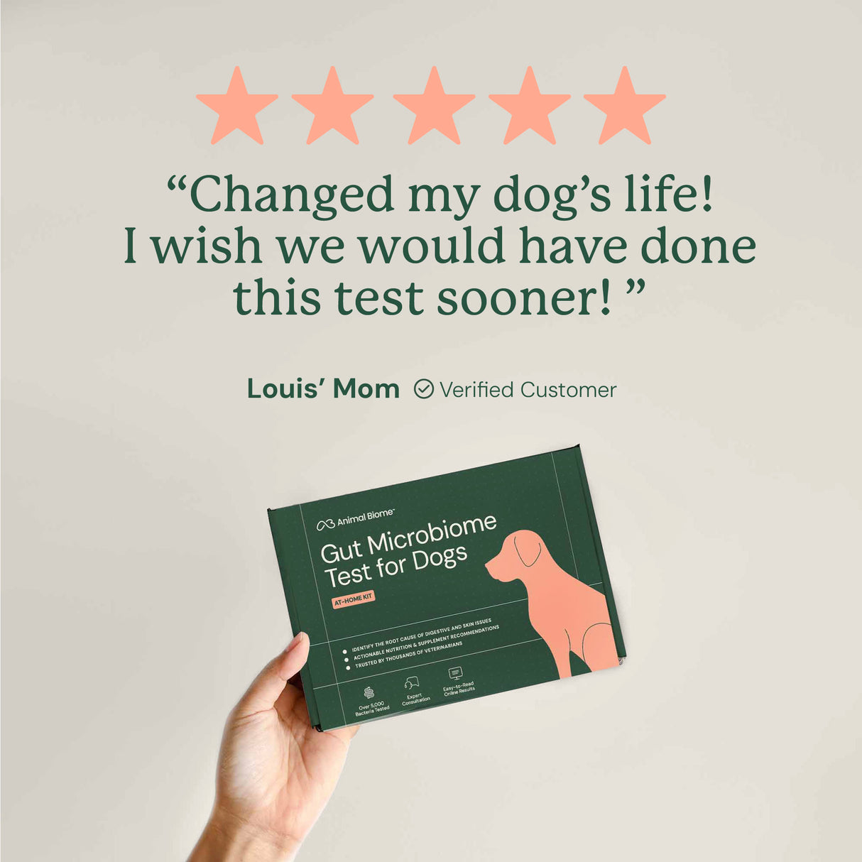 Gut Microbiome Test for Dogs