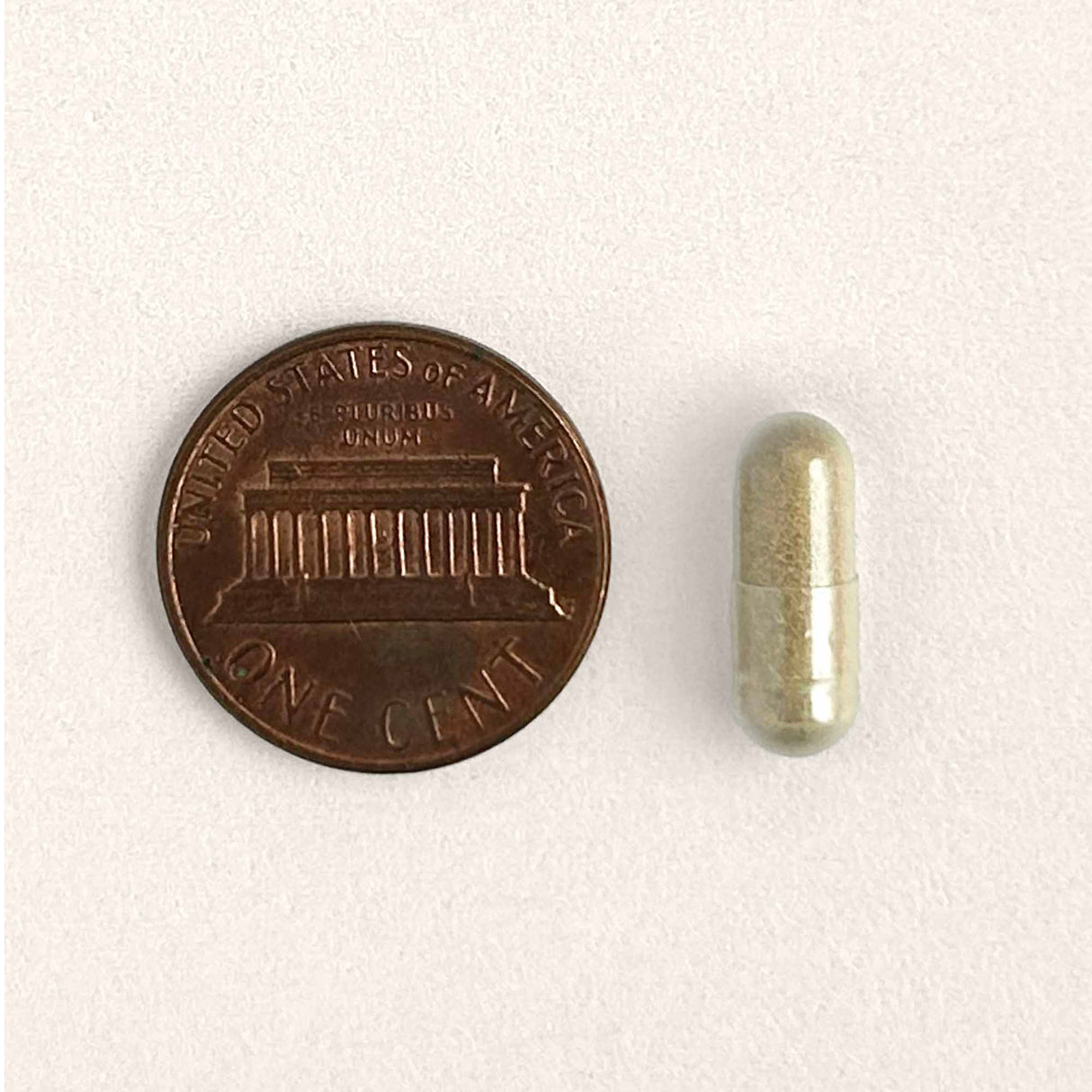 Gut Restore for Cats