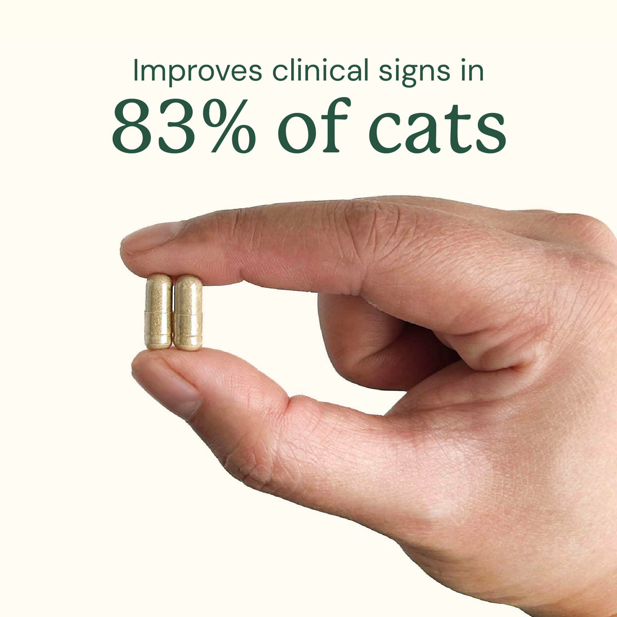 Gut Restore for Cats