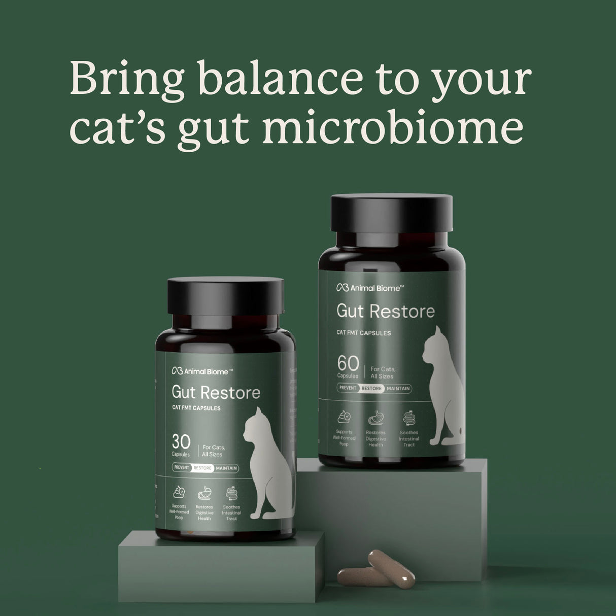 Gut Restore for Cats
