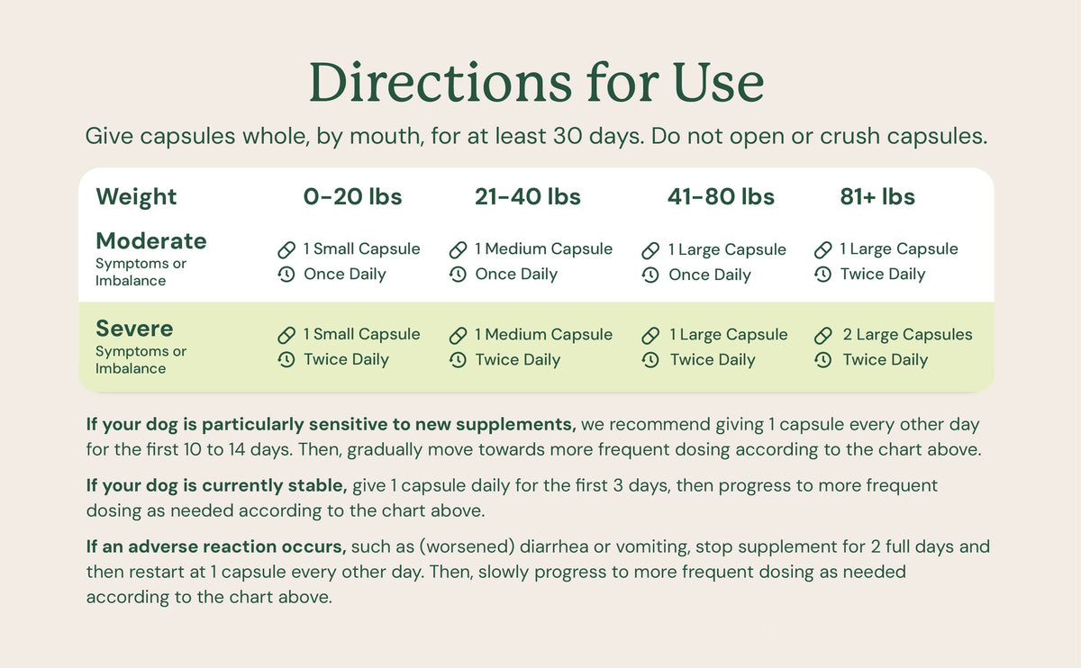 Gut Restore Supplement from Raw-Fed Dogs