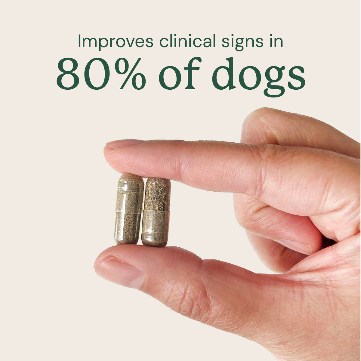 Gut Restore Supplement from Raw-Fed Dogs