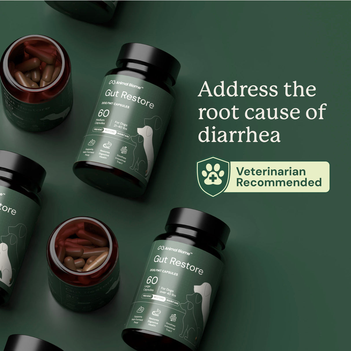 Gut Restore for Dogs