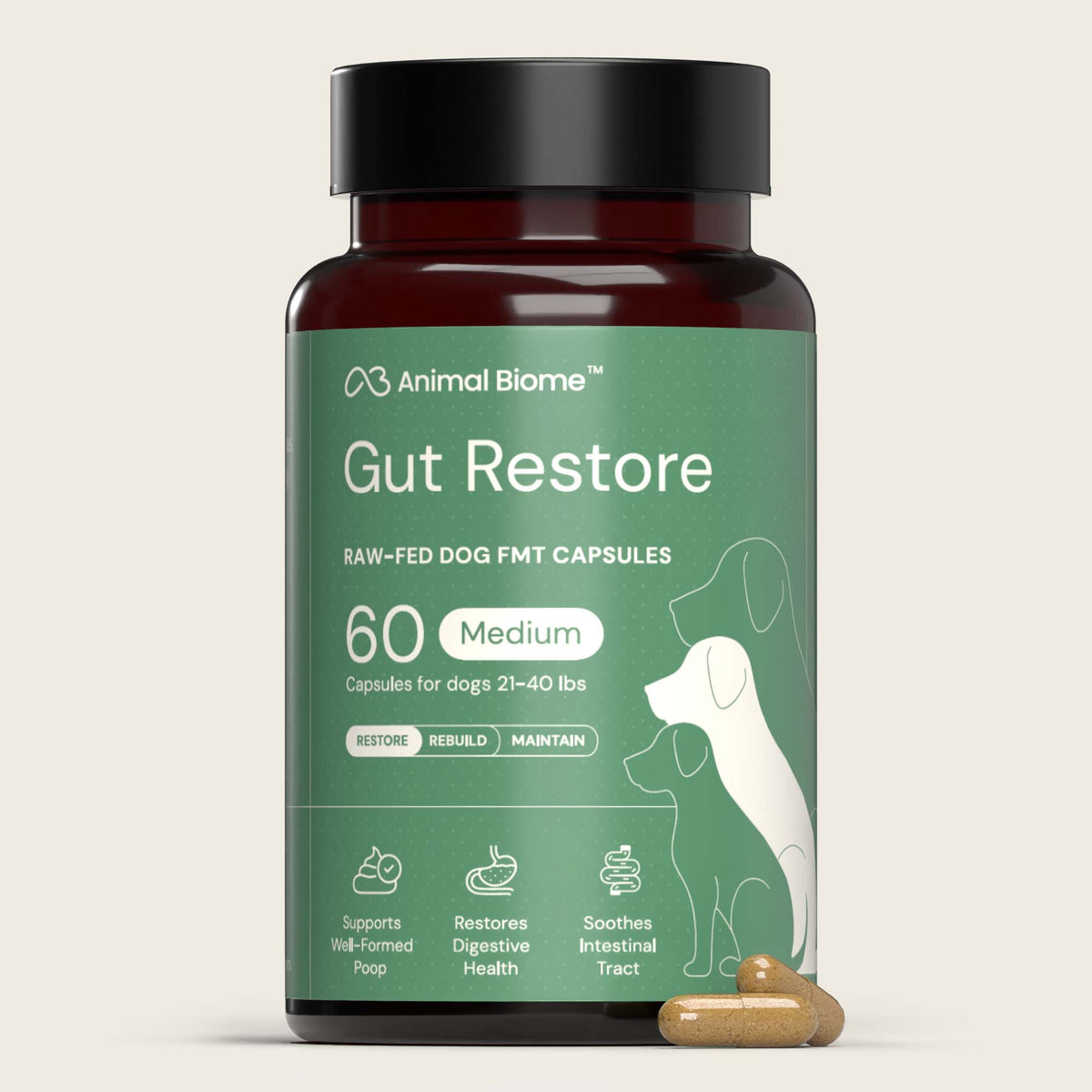 Bottle of Animal Biome Gut Restore raw-fed dog FMT capsules on a beige background