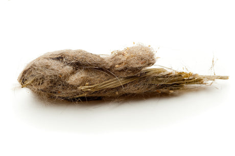 Are Hairballs Normal? Too Many Could Mean Your Cat Has Health Problems