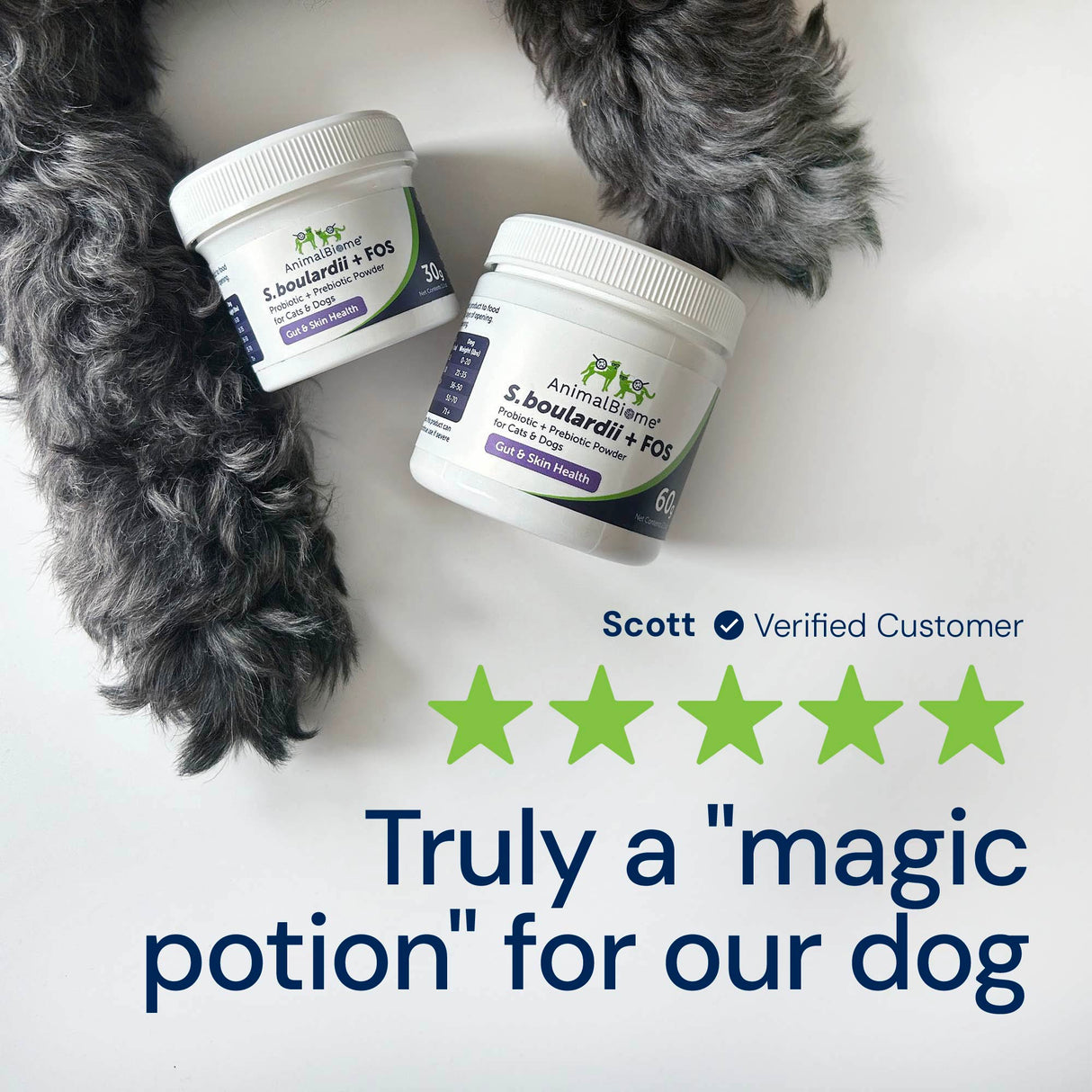 S. boulardii + FOS Powder for Cats and Dogs