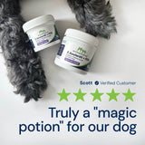 S. boulardii + FOS Powder for Cats and Dogs