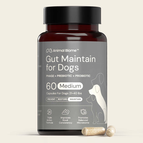Jar of Gut Maintain for Dogs with 2 capsules on a beige background