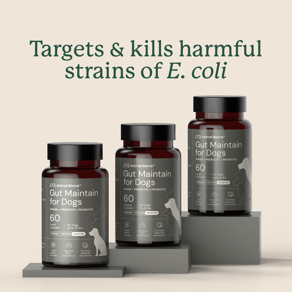 Gut Maintain for Dogs