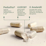 Gut Maintain for Dogs