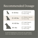 Gut Maintain for Dogs