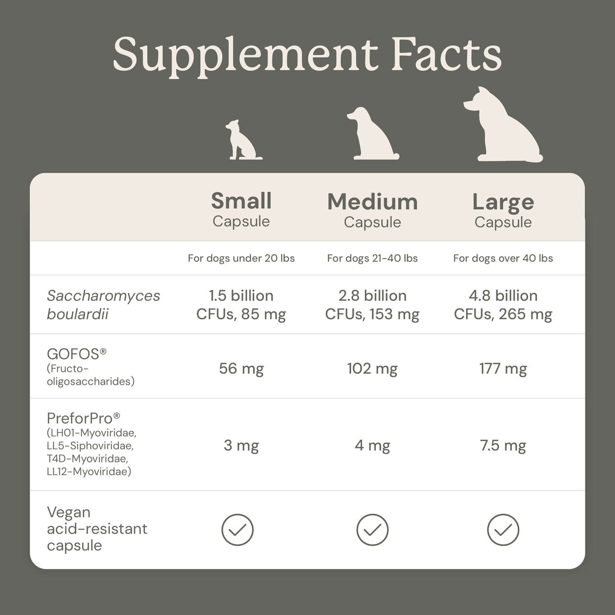 Gut Maintain for Dogs