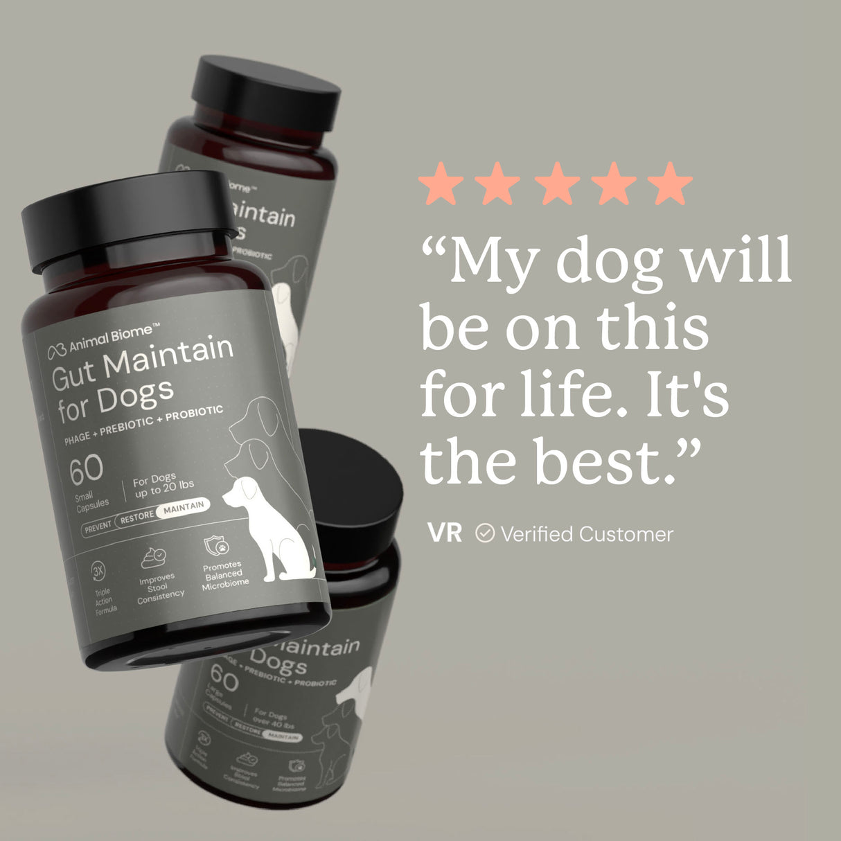Gut Maintain for Dogs