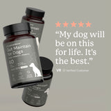 Gut Maintain for Dogs