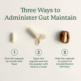 Gut Maintain for Cats