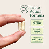 Gut Maintain for Dogs