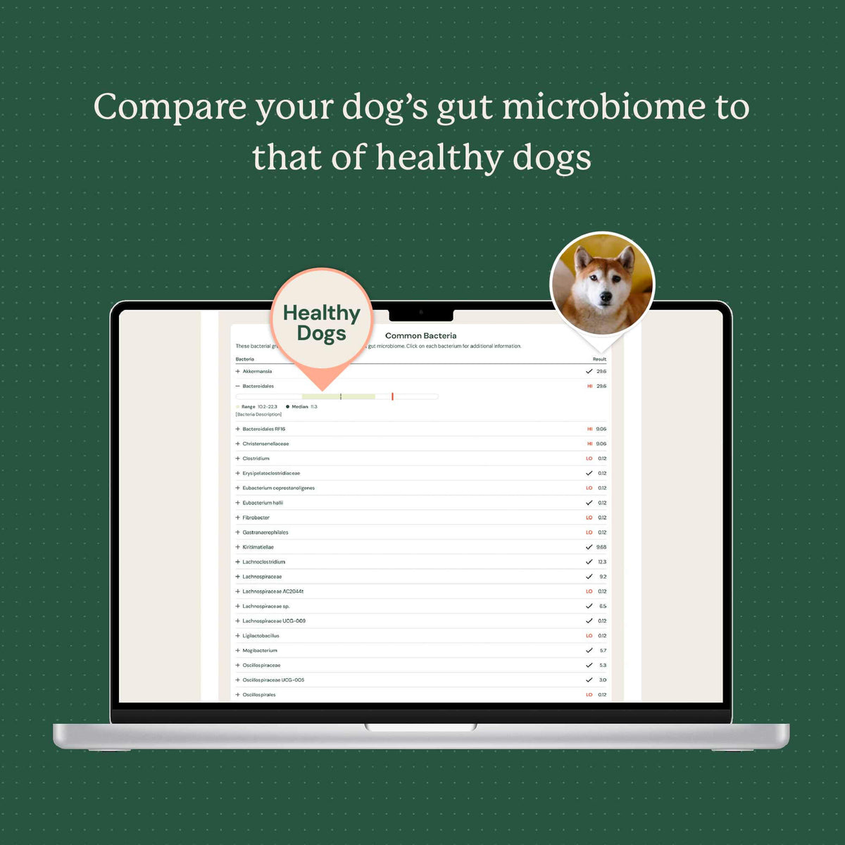 A laptop on a dark green background displaying a dog gut microbiome comparison chart. White text at the top reads, 'Compare your dog's gut microbiome to that of healthy dogs.