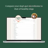 A laptop on a dark green background displaying a dog gut microbiome comparison chart. White text at the top reads, 'Compare your dog's gut microbiome to that of healthy dogs.