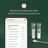 A smartphone app screen labeled 'Animal Biome' shows a pet bacteria test result, with two small labeled specimen tubes and a cotton swab on a dark green background. Text above reads, 'Identify pathogens and other harmful bacteria in your pet's gut.