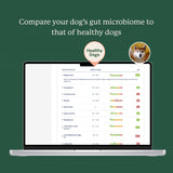Gut Microbiome Test for Dogs