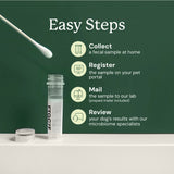 Gut Microbiome Test for Dogs