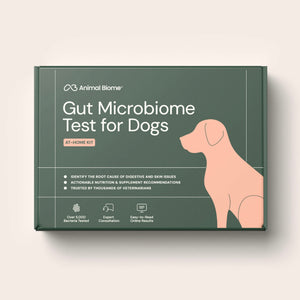 For Dogs
