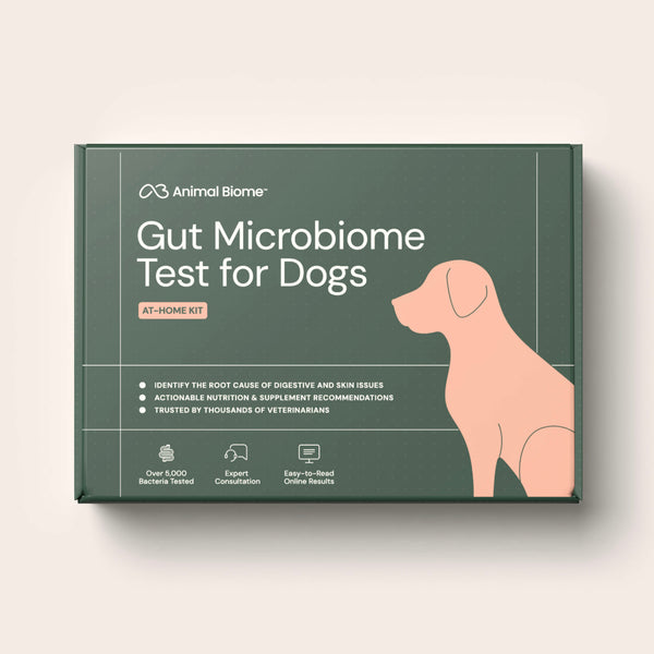 Gut MicroBiome Test for Dogs Kit