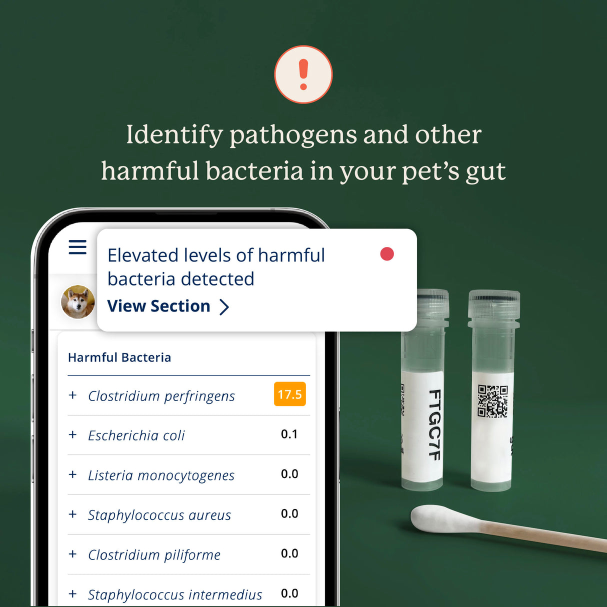 Gut Microbiome Test for Dogs