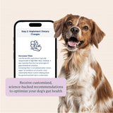 Gut Microbiome Test for Dogs