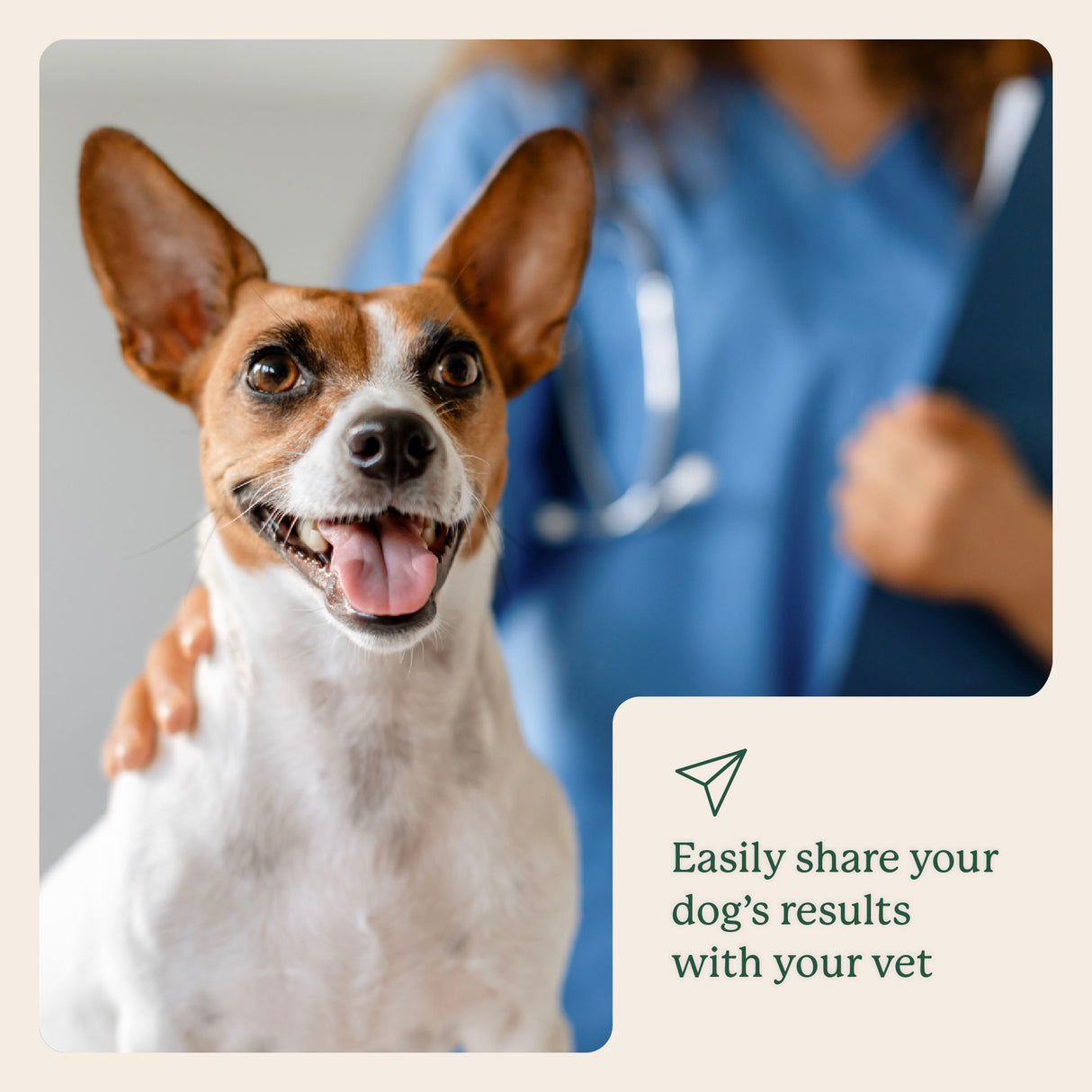 Gut Microbiome Test for Dogs