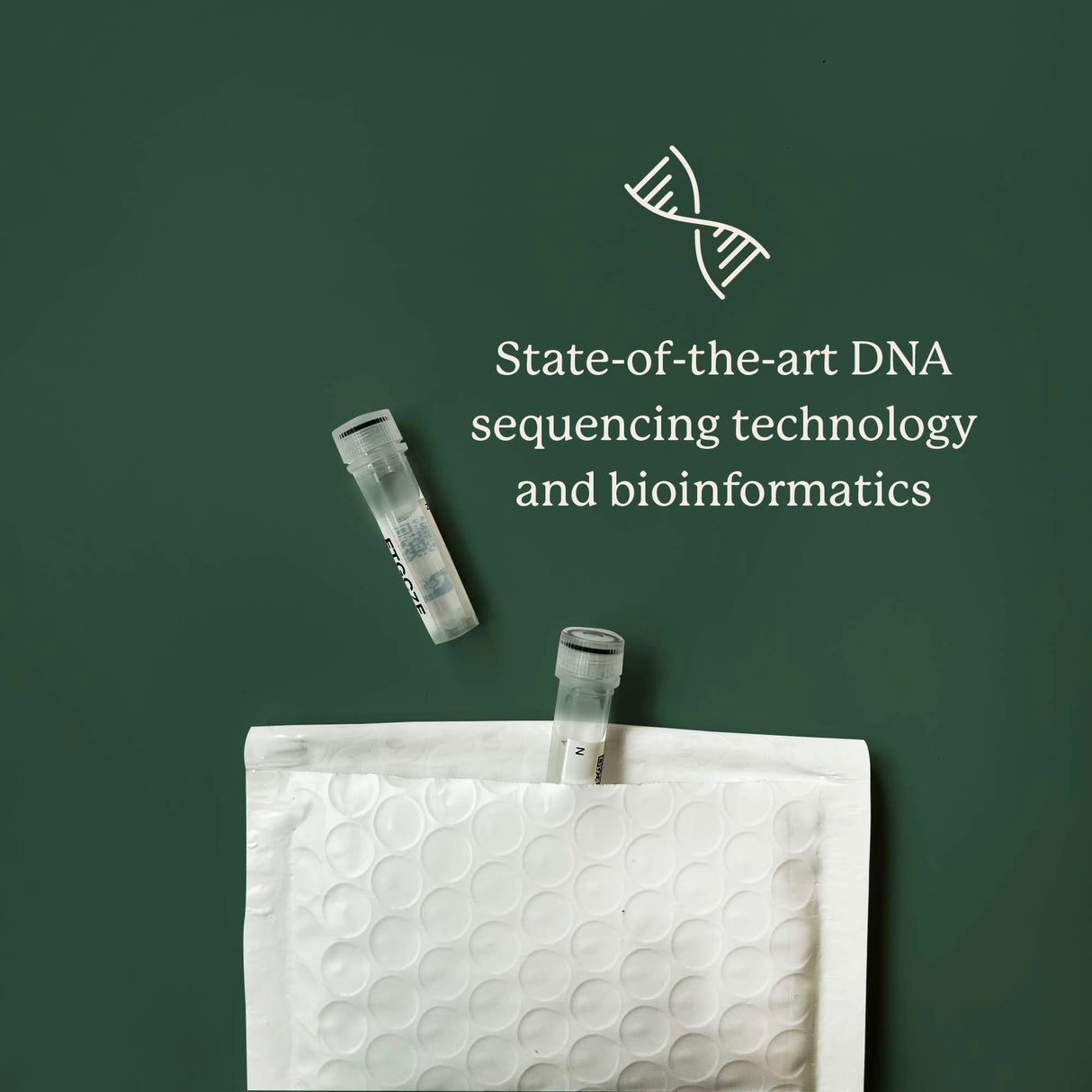 Gut Microbiome Test for Dogs